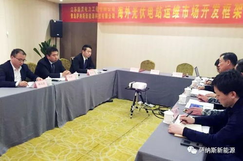 薩納斯與龐沃電力強強聯合 開啟海外新能源技術服務新篇章