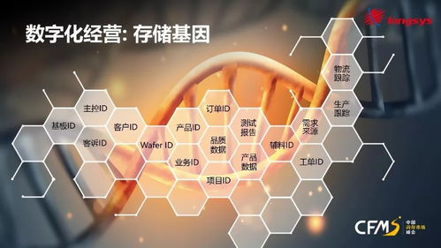 從產品到品牌 江波龍存儲技術服務的升級之路