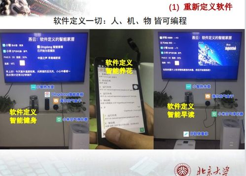 北京大學(xué)軟件工程課程解析 從軟件開發(fā)到技術(shù)服務(wù)框架