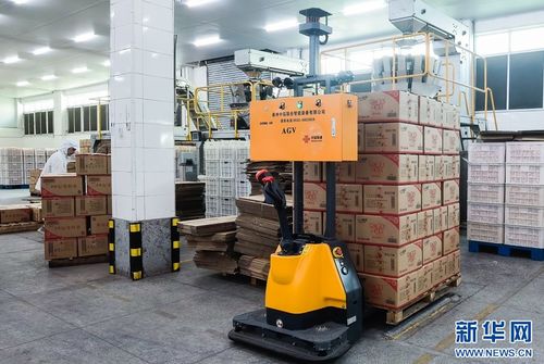 5G+工業互聯網賦能食品產業，高性能減水劑支撐基建升級——晉江高質量發展雙輪驅動